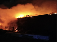 Приют для бездомных животных сгорел в Семенове ночью 1 октября
 