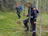 Женщин, заблудившихся в лесу, ищут в Нижегородской области 