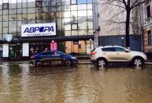 Перейти дорогу стало непросто в Нижнем Новгороде  