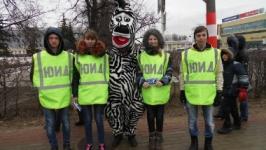 Нижегородцев через дорогу переводила зебра 