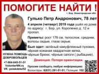 78-летний Петр Гулько пропал в Нижегородской области 