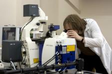 Нижегородский студент разрабатывает способ получения микроцеллюлозы из конопли 
