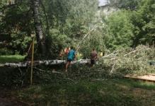 Более 200 деревьев повалил ураган в Нижнем Новгороде  