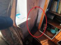СК начал проверку из-за плесени и трещин в домах в Балахнинском районе 