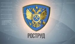 Плановые проверки отменила Гострудинспекция в Нижегородской области 
