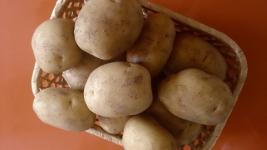 Нижегородская область вошла в окружную тройку регионов с наименьшей ценой на картофель - Росстат 