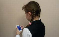 85% нижегородских родителей поддержали запрет на мобильники во время уроков 
