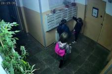 Полиция проверяет повреждение иномарок школьницами в Нижнем Новгороде   