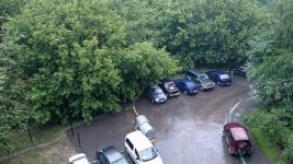 Теплая погода с дождем ожидается в Нижнем Новгороде 11 июня 