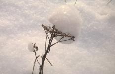 Сильный снегопад прогнозируется в Нижегородской области до вечера 16 декабря 