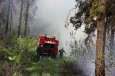 Тушившие нижегородские леса в 2010 году пожарные борются с огнем в Мордовии 