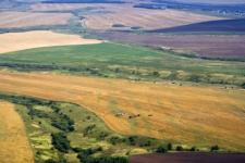 План сева яровых культур выполнен на 85% в Нижегородской области 