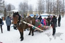 Бесплатно покататься на лошадях смогут нижегородцы в парке "Дубки" 