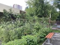 В Нижегородской области 41 населенный пункт остается без электричества после урагана 