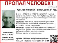 81-летний Николай Кульков пропал в Нижегородской области 