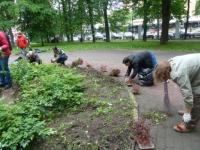 Парк Кулибина украсили нижегородцы цветами в День города 