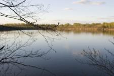 Потепление до +17°C и переменная облачность ожидаются в Нижнем Новгороде 12 апреля    