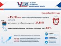 Явка нижегородских избирателей на выборы составила 24,88% к 15:00 9 сентября 