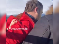 Сторонника «Штаба Навального»* задержали в Нижегородской области 