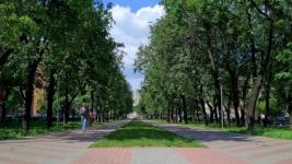 На содержание озелененных территорий Нижнего Новгорода направят 1 млрд рублей 