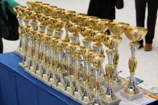 Нижегородская дзюдоистка стала второй на Кубке Европы 
