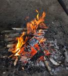 В Нижегородской области женщина получила ожоги, сжигая мусор 