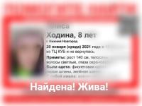 Появились подробности поиска 8-летней Алисы Ходиной в Нижнем Новгороде 