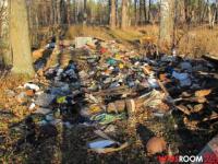 Около 1 млн рублей планируется потратить на вывоз мусора с несанкционированных свалок в Советском районе в 2016 году 