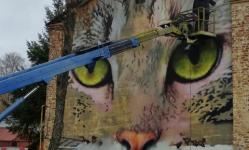 Гигантский рисунок кота украсит торец дома в Нижнем Новгороде  