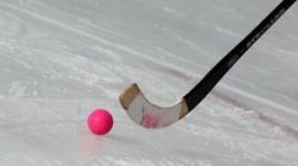Турниры по хоккею с мячом состоятся 29 и 30 декабря в Московском районе 