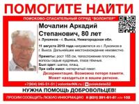 В Нижегородской области продолжаются поиски пенсионера Аркадия Мочалина 