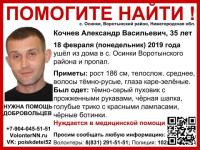 35-летний Александр Кочнев пропал в Нижегородской области 