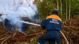 Более 1400 человек тушат лесной пожар в Нижегородской области  