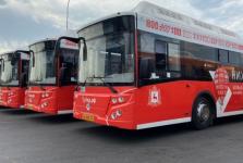 20 новых ЛиАЗов пополнили автопарк Нижнего Новгорода 