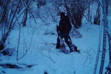 Фотоловушка зафиксировала убивших лося браконьеров в Павловском районе 