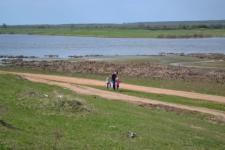 Теплые будни и прохладные выходные ожидают нижегородцев 