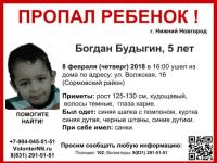В Нижнем Новгороде пропал 5-летний Богдан Будыгин 