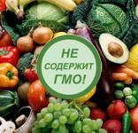 Запрет на ввоз продуктов, содержащих ГМО, могут ввести в России

 