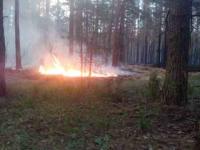 Полицейские обеспечивают общественный порядок в месте возгорания в районе Нижегородского и Автозаводского шоссе Дзержинского района  