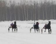 Зимний беговой сезон откроют 15 января на Нижегородском ипподроме 