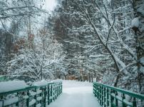 Экошколу начали устанавливать в парке «Швейцария» в Нижнем Новгороде 