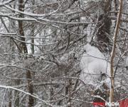 Пожилой мужчина пропал в Балахне 