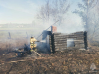 МЧС показало фото и видео с пожара под Шахуньей 