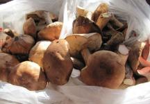 Нижегородцам рассказали, как собирать и готовить грибы 