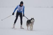 Экс-нижегородка Юлия Данилова победила во Всероссийских соревнованиях по зимним видам ездового спорта на собаках 