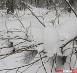 Нижегородские волонтеры спасли замерзавшего в лесу 25-летнего мужчину 