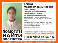 16-летнюю школьницу почти месяц ищут в Нижегородской области 
