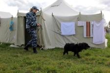 Сотрудники полиции обеспечили правопорядок во время праздничных мероприятий в с. Дивеево 