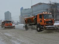 Более 25 см снега может выпасть в Нижнем Новгороде до 21 января 