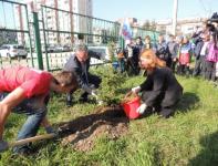 «Аллея здоровья» высажена в Автозаводском районе Нижнего Новгорода  